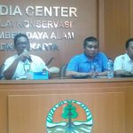 Ditjen KSDAE, KLHK Bersama JAAN Translokasi 11 Ekor Buaya Muara