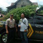 Satres Narkoba Polres Lahat Temukan Ladang Ganja 1 Hektar Satres Narkoba Polres Lahat Temukan Ladang Ganja 1 Hektar