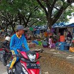 Setelah Ditertibkan, Pedagang Kembali Berjualan di Terminal Laino Muna Setelah Ditertibkan, Pedagang Kembali Berjualan di Terminal Laino Muna