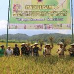 Panen Padi Perdana Dengan Pupuk Wijayakusuma Nutrisi