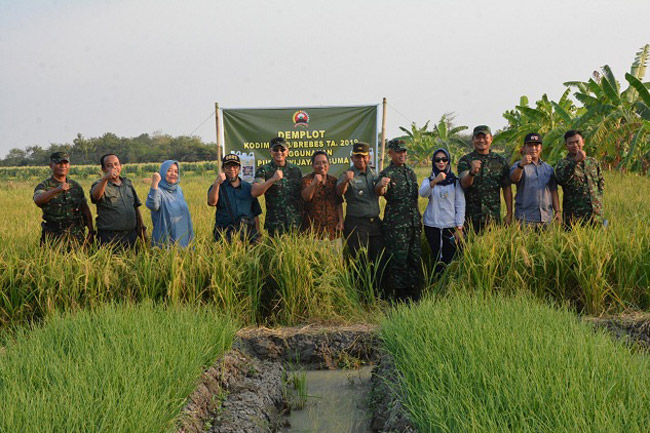 Danrem 071 Cek Lahan Demplot, Lihat Aplikasi Pupuk Wijayakusuma