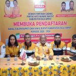 Partai Hanura Raja Ampat Buka Pendaftaran Bakal Calon Bupati