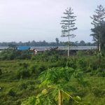 Peternakan Ayam di Kampung Yeflio Tak Sesuai Amdal?