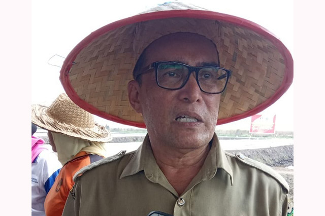 Kadis Pertanian Kapuas: Budidaya Bawang Merah Untungkan Petani Lokal