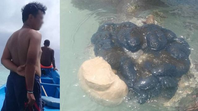 Demi Ikan Hias, Terumbu Karang Kepulauan Ayau Raja Ampat Dirusak
