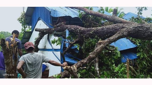 Tertimpa Pohon Tumbang, Bangunan PT PLN di Kampung Fafanlap Rusak