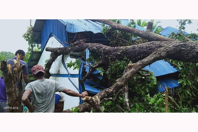 Tertimpa Pohon Tumbang, Bangunan PT PLN di Kampung Fafanlap Rusak
